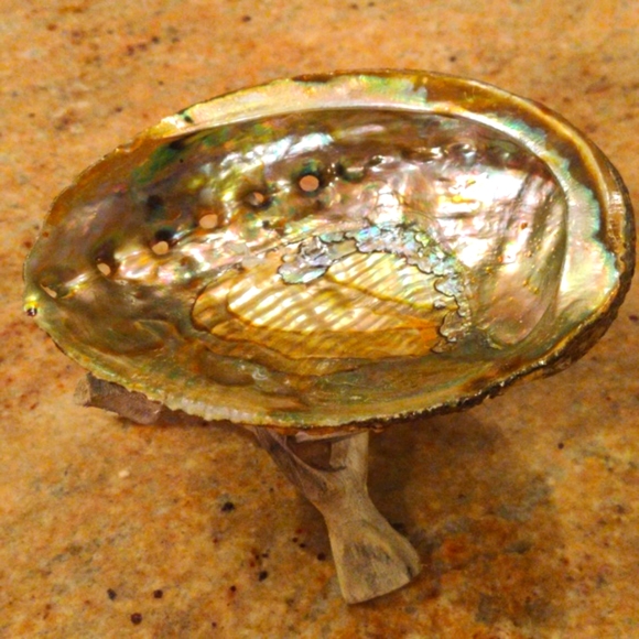 Abalone Shell on Stand - Picture 2 of 4